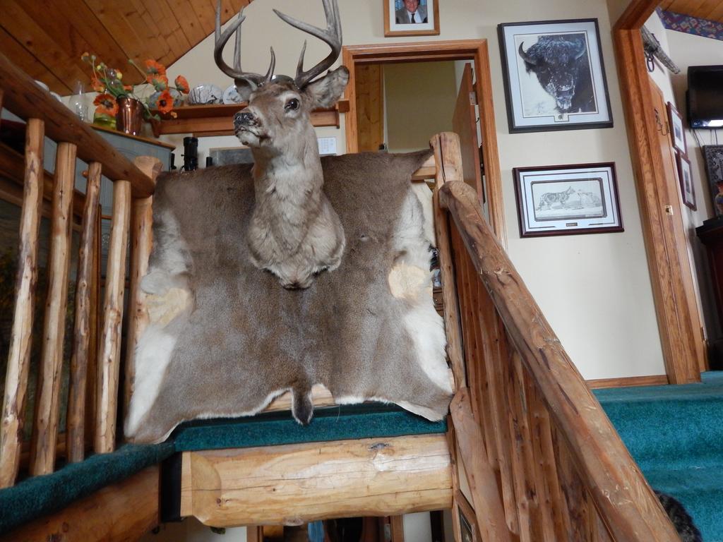 Idle Spurs Log Cabin Bed & Breakfast Black Diamond Eksteriør billede