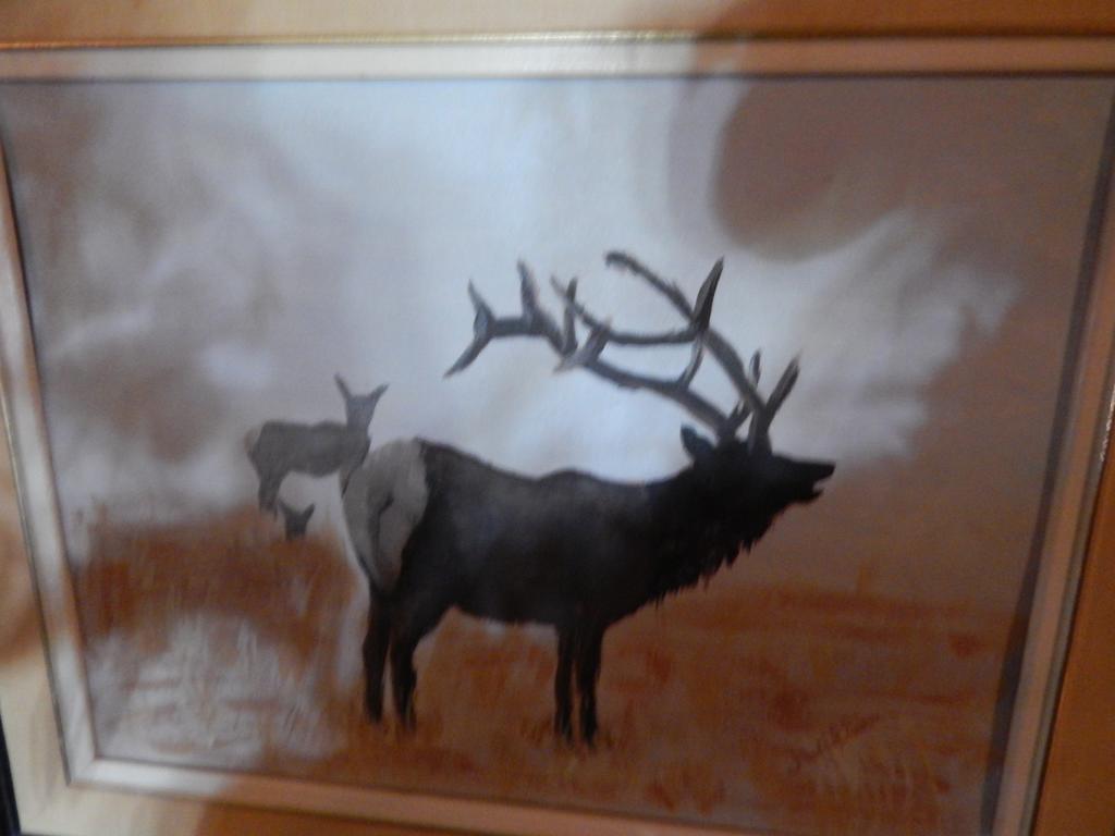 Idle Spurs Log Cabin Bed & Breakfast Black Diamond Eksteriør billede